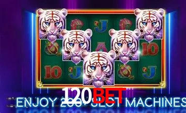 Descubra a Essência do 120bet: Nossa História e Compromissos